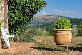 Looking over the Umbrian hillside at Casa del Vento outside Assisi, Italy