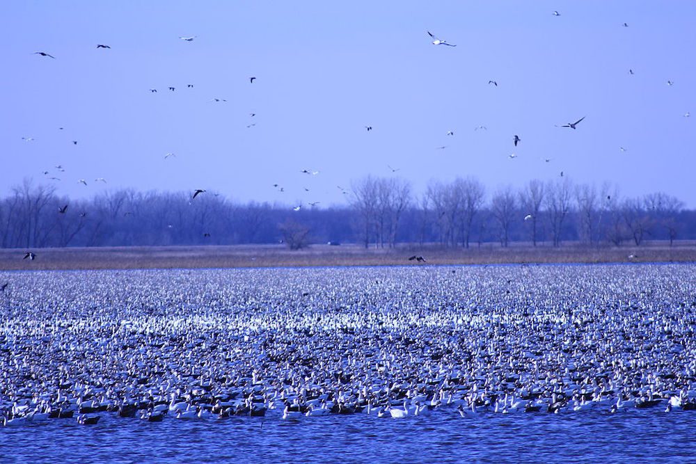 Squaw Creek National Wildlife Refuge 