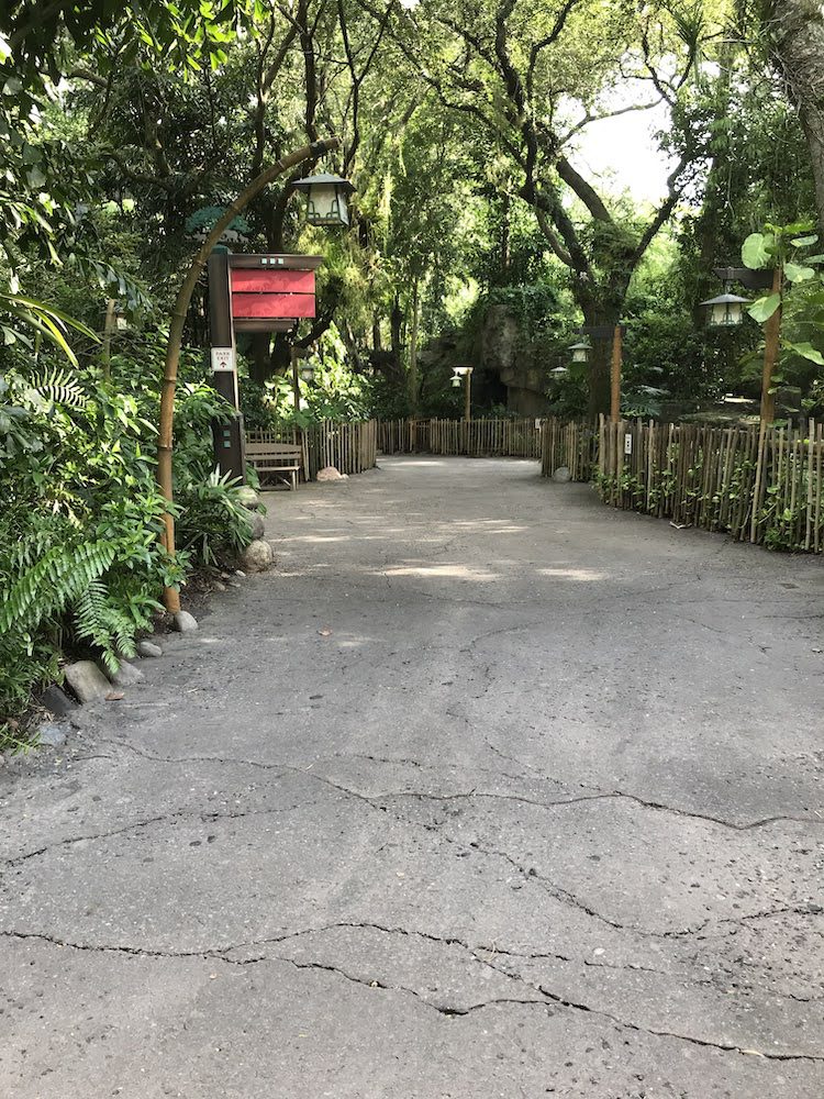 Animal Kingdom Oasis Entrance