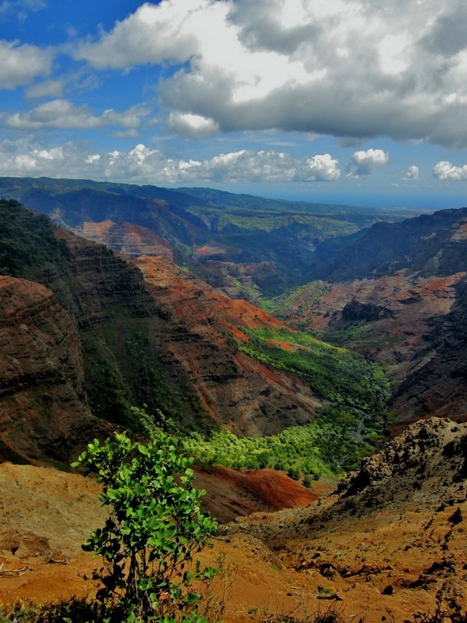 Waimea Valley