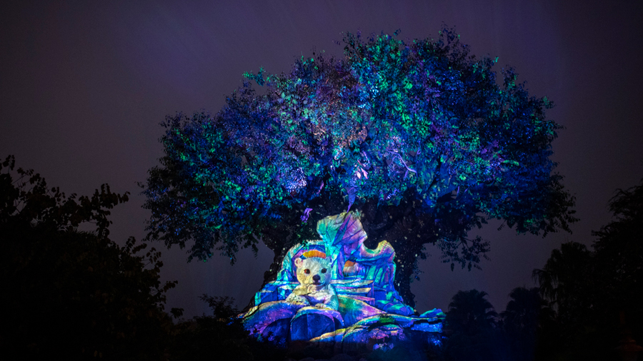 Disney Animal Kingdom Holidays